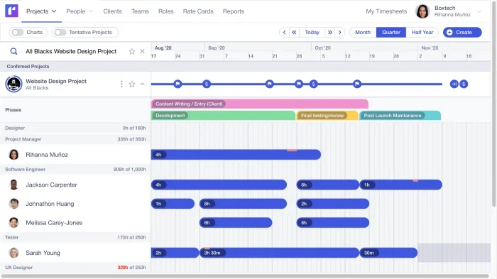 project tracker example screenshot of Runn software